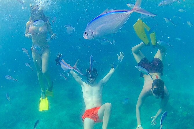 Catalina Island with Altos de Chavon - Full Day All Inclusive - Weather Rules and Comfort Tips (The Stuff That Actually Matters)