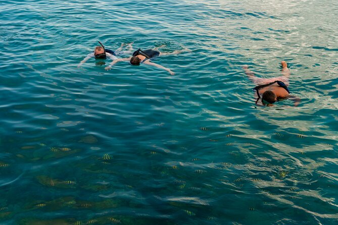 Catalina Sailing Experience in Punta Cana with Food and Drinks - Isla Saona beach time: lunch, open bar, and where you actually rest