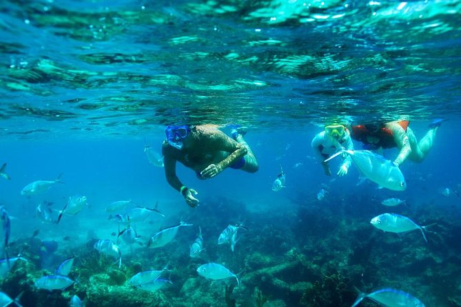 Catamaran Booze Cruise And Snorkeling Punta Cana - Adults Only - A 3-Hour Adults-Only Catamaran Party With Snorkeling Time