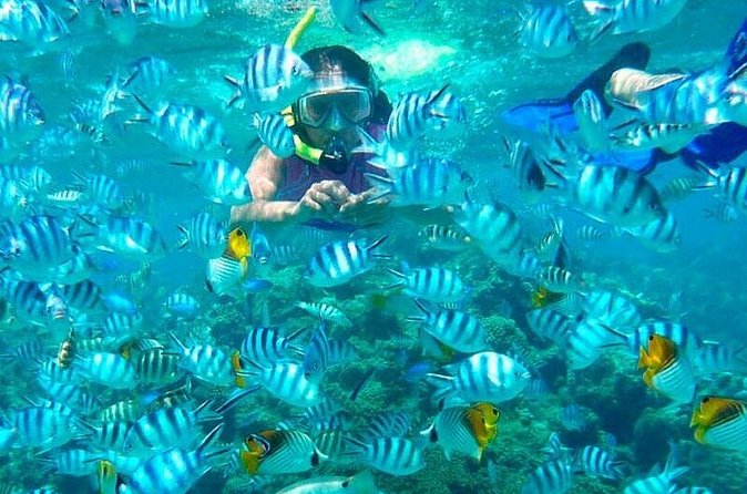 Catamaran Catalina Island Day Trip with Lunch - The return to La Romana and your trip back to hotels