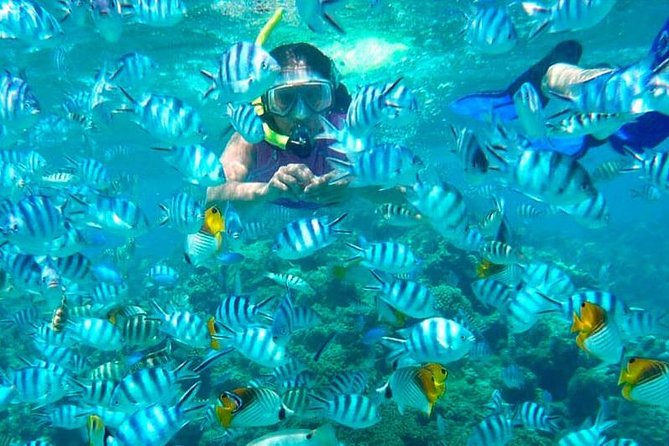 Catamaran Catalina Island Day Trip with Lunch - Should you book this Catalina Island catamaran day trip?