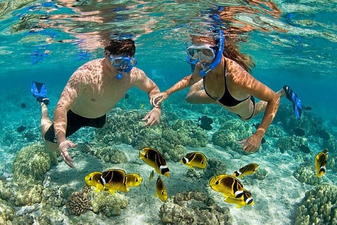 Catamaran Party in Punta Cana Includes Drink and Transportation - The Punta de los Nidos Stop: Slide-and-Splash Fun and Photo Time