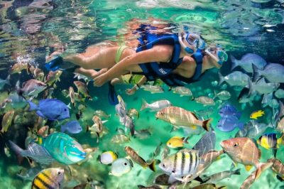 Catamaran party in Punta Cana with open bar, music and more - Stop 2 at Arrecife de Coral: Snorkeling With Marine Life