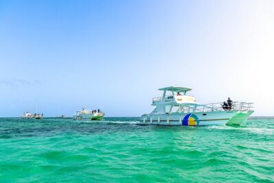 Catamaran Private Group Tour - Coastline Sailing and Views: The Part You’ll Feel Even Before the Water