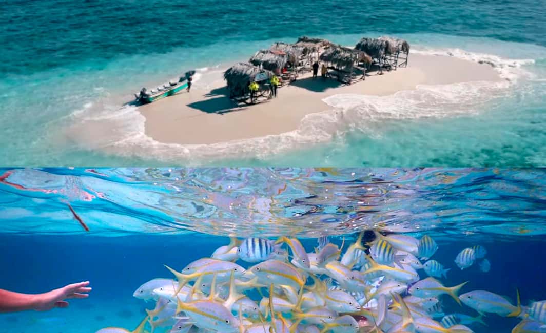 Cayo Arena: Paradise Island & Magroves Tour Private - Cayo Arena and Monte Cristi: a rare two-part “water + wilderness” day