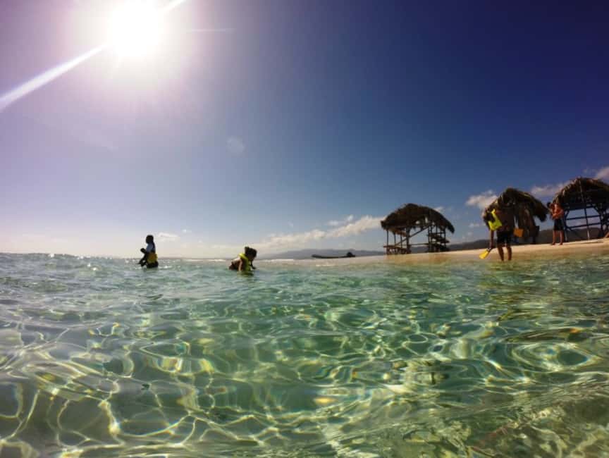Cayo Arena: Paradise Island & Magroves Tour Private - Snorkeling coral gardens: what to expect and how to get more out of it
