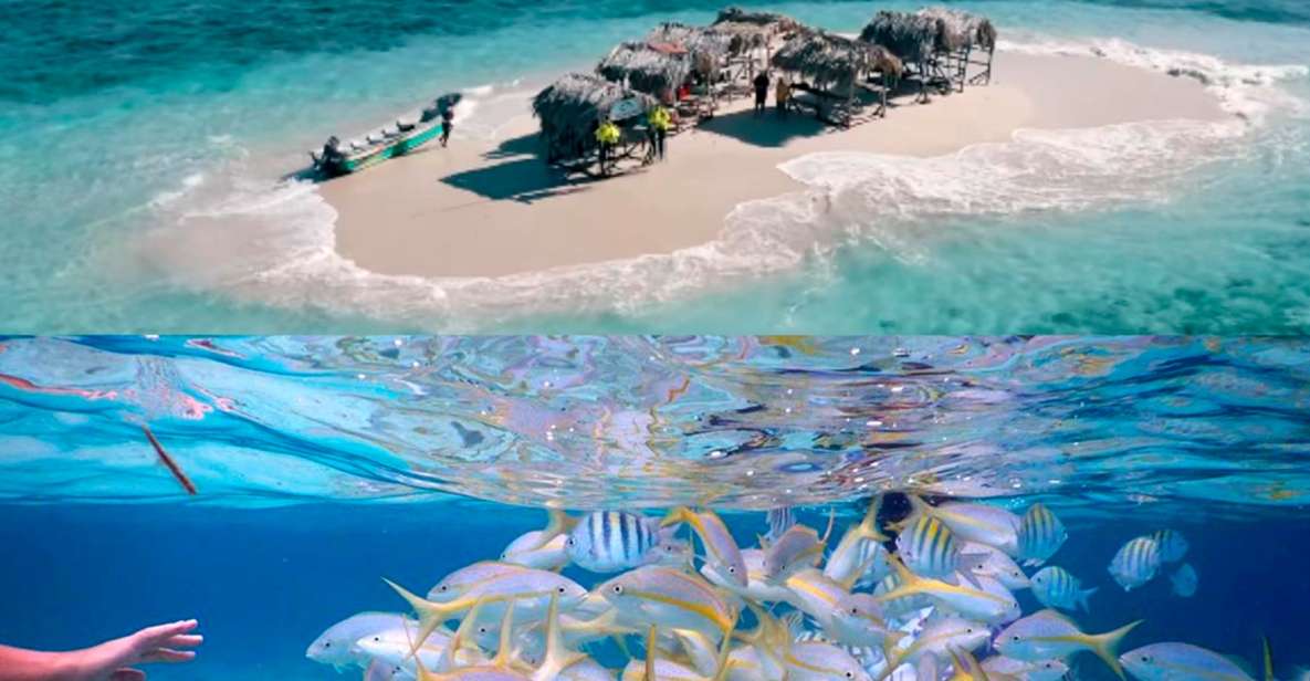 Cayo Arena: Paradise Island & Magroves Tour Private - Logistics you should think about before you go