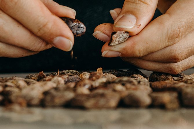 Chocolate Master Class & Taino Concept Store - Taino Concept Store: More Than a Shop Front