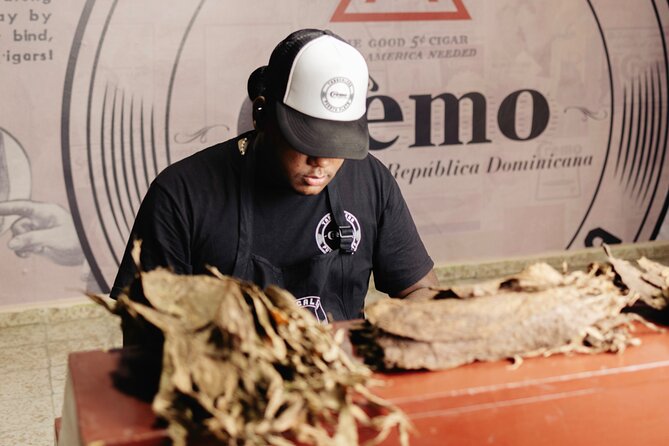 Cigar Factory Tour in Puerto Plata - Key Highlights You’ll Actually Care About