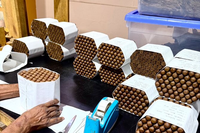 Cigar Factory Tour in Puerto Plata - Time, Location, and Logistics: Making It Fit Your Day