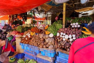City Tour & Half-Day Safari Experiences - Getting There: Pickup From Downtown Punta Cana and a Private Group
