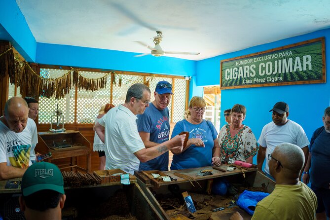 City Tour & Half-Day Safari Experiences - Lunch and Tropical Fruit: Simple Food That Tastes Like the Region