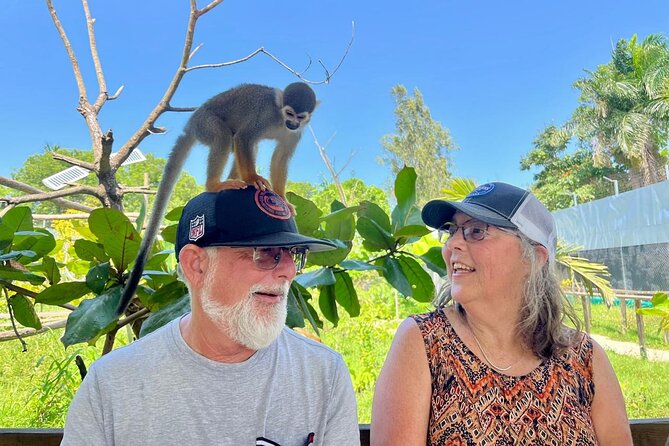 Damajagua Waterfalls and Monkey Private Van Tour - Choosing Your Hike: Slow Family Route vs Adventurous Slides and Jumps