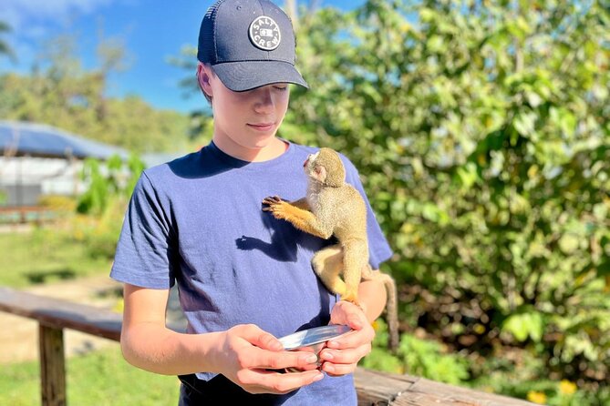 Damajagua Waterfalls and Monkey Private Van Tour - Monkey Home: Up-Close Squirrel Monkeys Without the Awkward Waiting