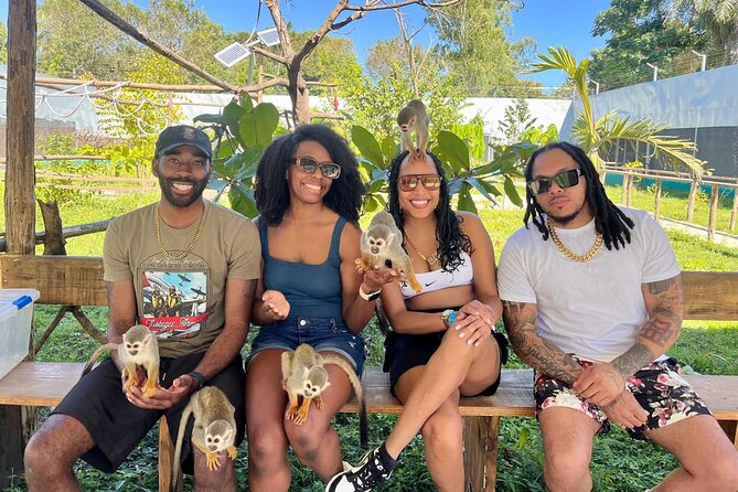 Damajagua Waterfalls and Monkey Private Van Tour - Private Van Logistics From Puerto Plata (and Why It Matters)