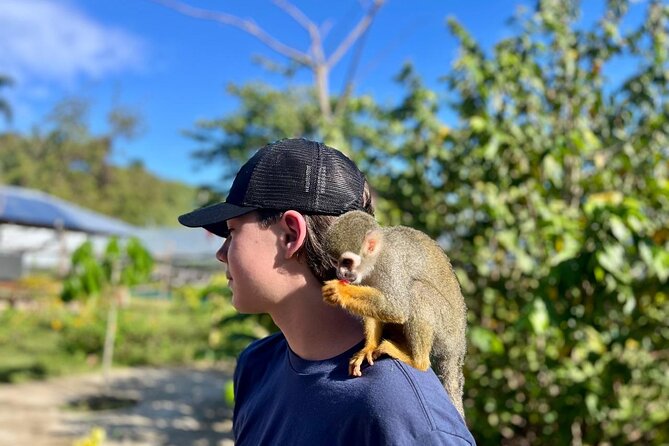 Damajagua Waterfalls and Monkey Private Van Tour - The 27 Charcos Setup: What You’re Really Getting at Damajagua