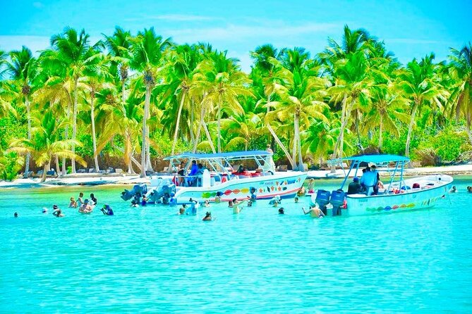 Day Trip to Saona Island with Lunch and Open Bar - Getting there: pickup, mobile ticket, and the boat ride mix