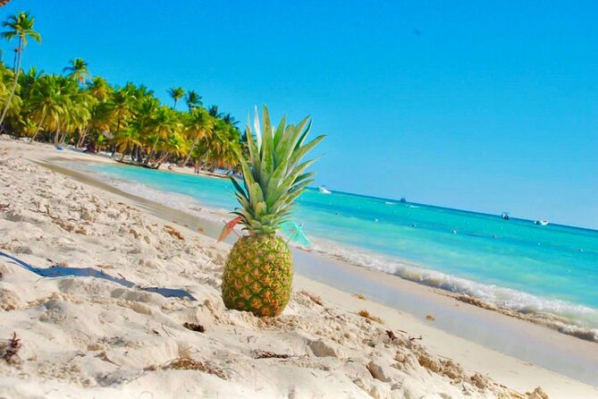 Day Trip to Saona Island with Lunch and Open Bar - The open bar reality: rum and soda included, beer may cost extra