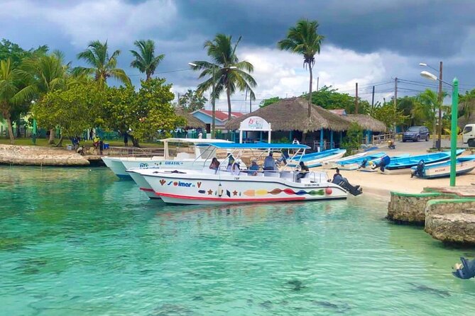 Day Trip to Saona Island with Lunch and Open Bar - Palmilla Beach stop: classic sand, clear water, and downtime that actually matters