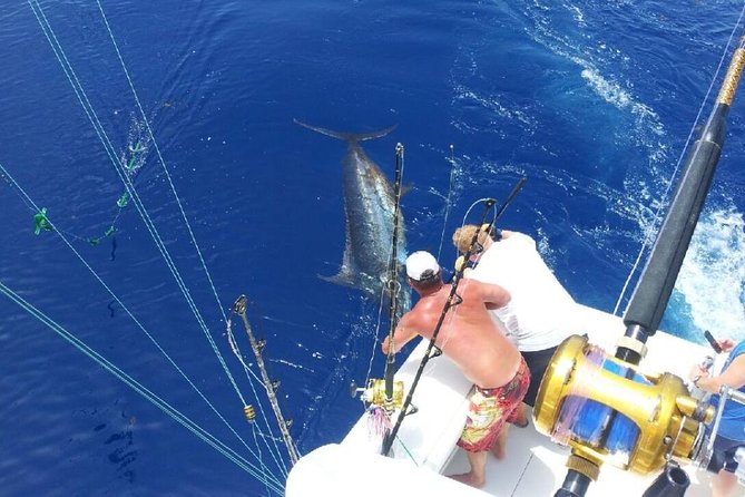 Deep Sea Fishing Tour - Key Things That Make This Punta Cana Fishing Trip Worth It