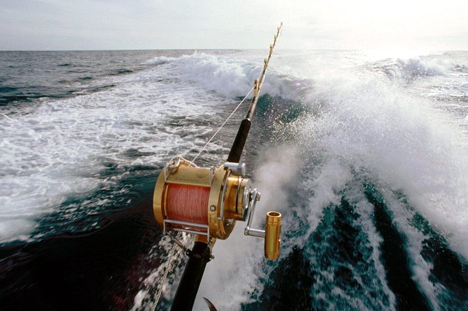 Deep Sea Fishing Tour - Gear and Guidance: You Cast, They Put You on Spots