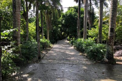 Discover Dominican life - Anamuya: coconut oil, coffee, cocoa, and cigar rolling