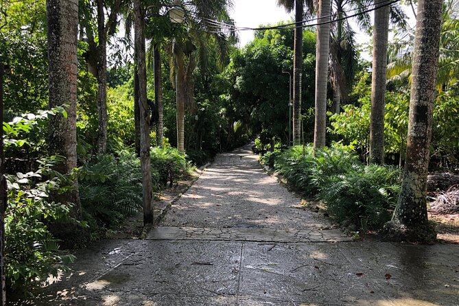 Discover Dominican life - Anamuya: coconut oil, coffee, cocoa, and cigar rolling