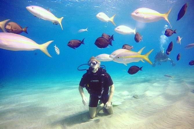 Discover Scuba Diving - Key Highlights Worth Marking on Your Map