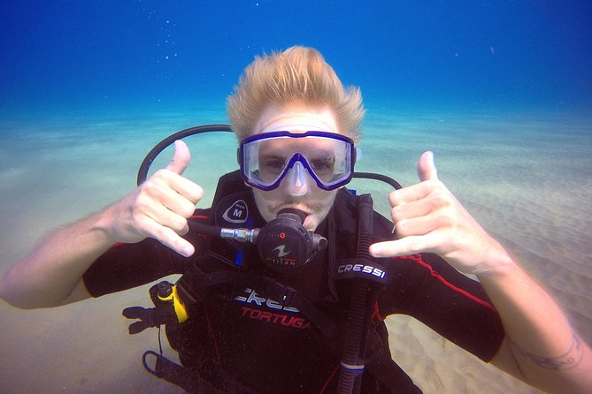 Discover Scuba Diving - Sosúa Check-In: Video First, Then Real-World Guidance