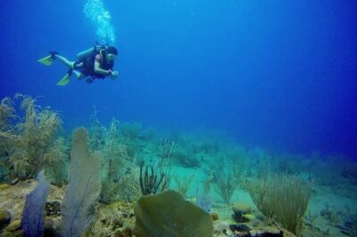 Discover Scuba Diving - Confined Open Water: Why Controlled Conditions Help You Learn