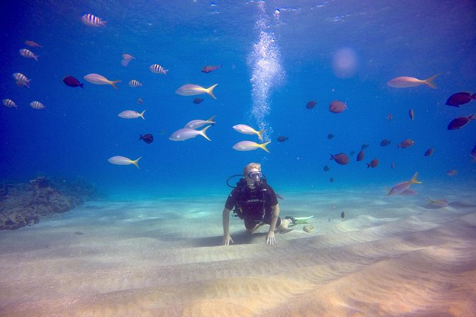 Discover Scuba Diving - Included Extras That Make the Day Easier