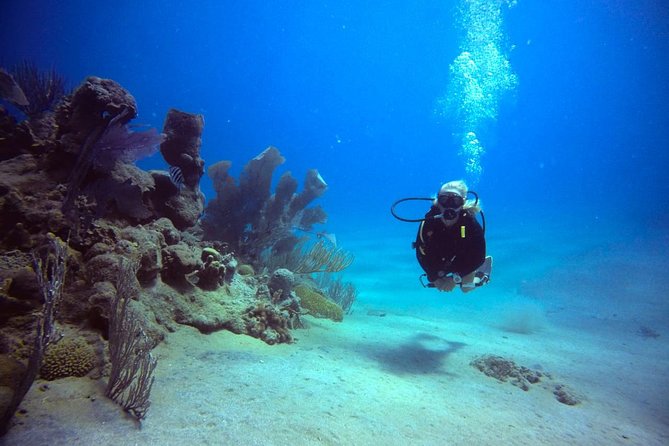 Discover Scuba Diving - Practical Notes Before You Go
