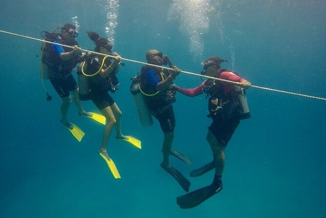 Discover Scuba Diving - DSD - Price and What You Actually Get for $99