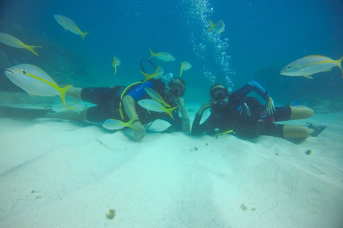 Discover Scuba Diving - DSD - The Guided Underwater Session: Shipwrecks, Reefs, and Wildlife at Max 12m