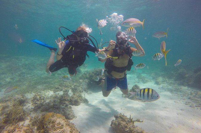 Discover Scuba Diving - DSD - Weather, Timing, and How to Think About Risk