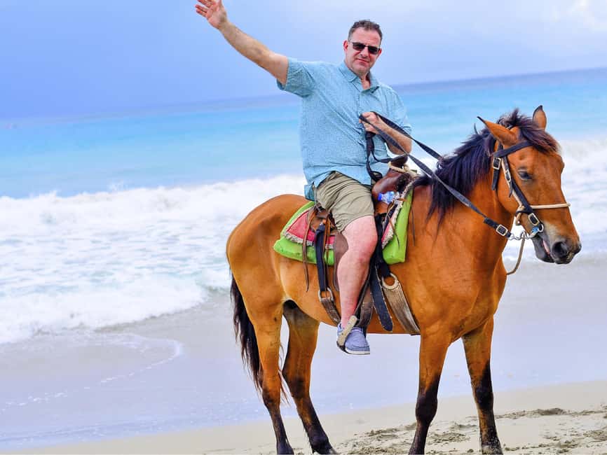 Discover the Trails of Punta Cana on a Horseback Ride - Should you book this Punta Cana horseback ride?