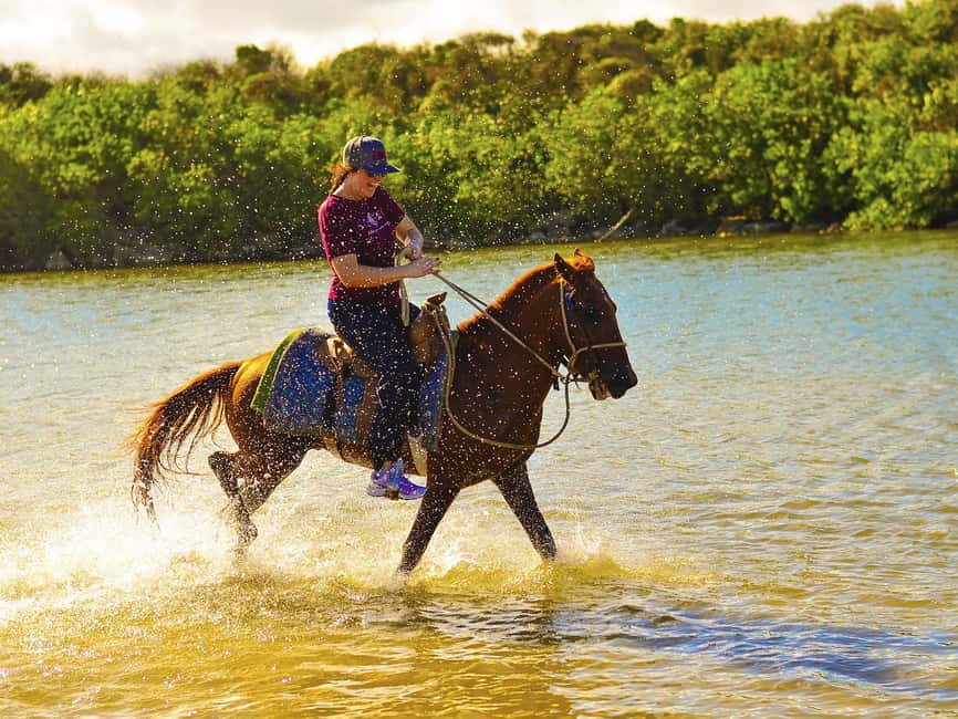 Discover the Trails of Punta Cana on a Horseback Ride - Your timing: pickup, Macao beach, and photo time