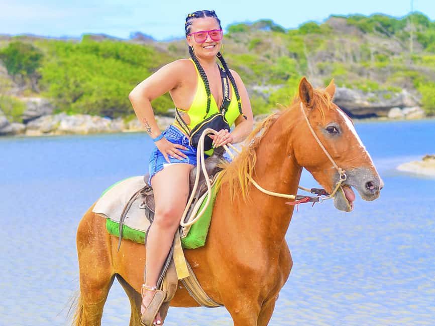 Discover the Trails of Punta Cana on a Horseback Ride - The countryside stretch: seeing plants and animals from the saddle