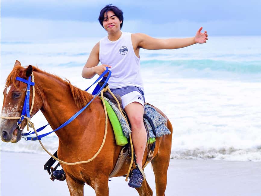 Discover the Trails of Punta Cana on a Horseback Ride - Beach riding reality check: comfort, etiquette, and heat