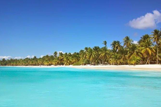 Discovery Package Saona Island & Buggies From Punta Cana - Two Big Hits in One Punta Cana Package