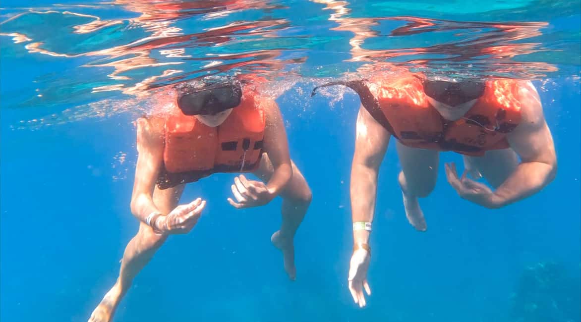 diving without a license catalina island from punta cana - Instructors and languages: the difference you feel in the water