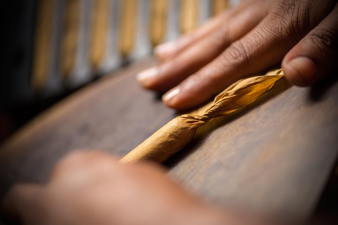 Dominican Cigar Factory Tour - Key Highlights to Know Before You Go
