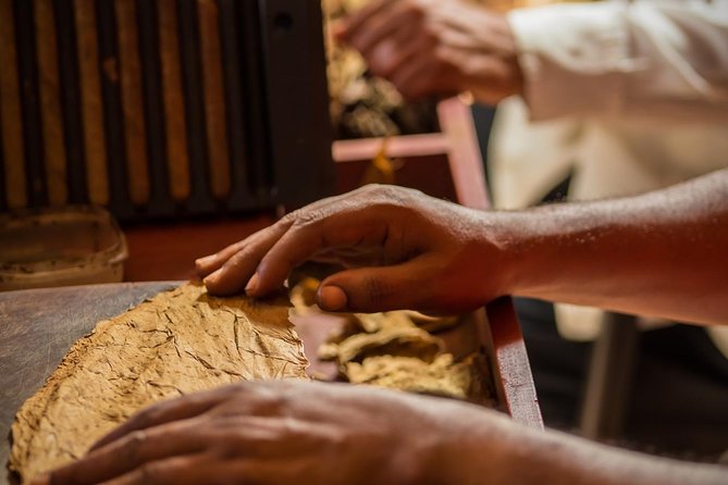 Dominican Cigar Factory Tour - Inside Vivonte’s Cigar Factory & Lounge in Puerto Plata