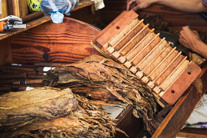 Dominican Cigar Factory Tour - Meeting Point, Time on the Clock, and Private-Group Feel