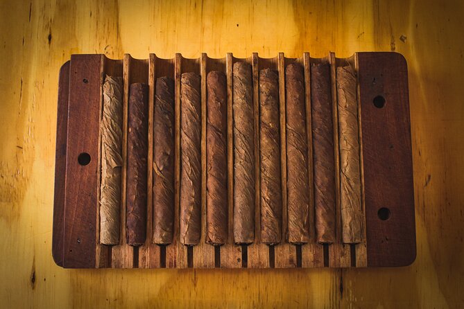 Dominican Cigar Factory Tour - How the Seed-to-Cigar Tour Actually Plays Out