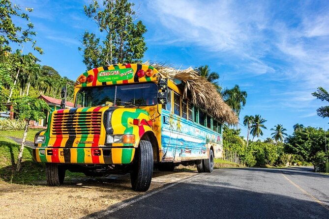 Dominican countryside, culture and beach escape with lunch - Key things to know before you go