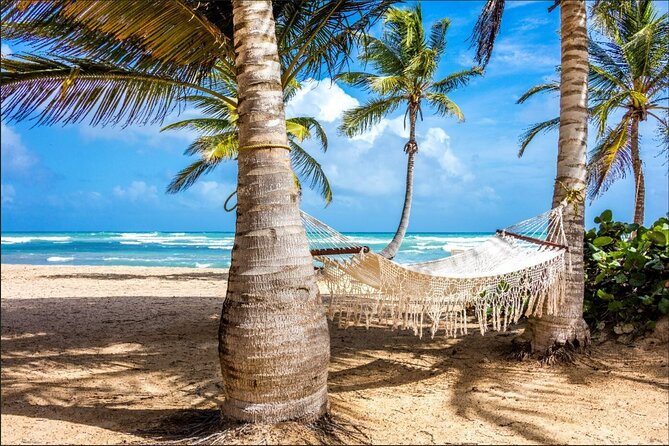 Dominican countryside, culture and beach escape with lunch - Cigar factory and sugarcane fields: practical, product-focused culture