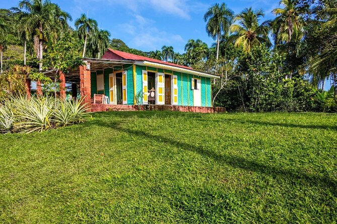 Dominican countryside, culture and beach escape with lunch - Coffee, cocoa, and sugarcane areas: plantation views you can connect to later