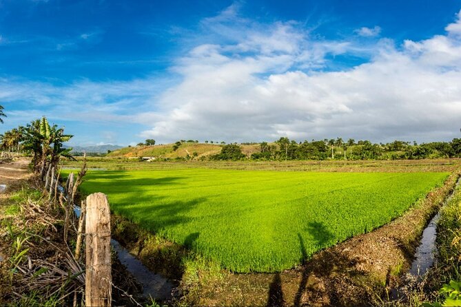 Dominican countryside, culture and beach escape with lunch - The beach stop and lunch: the day’s payoff