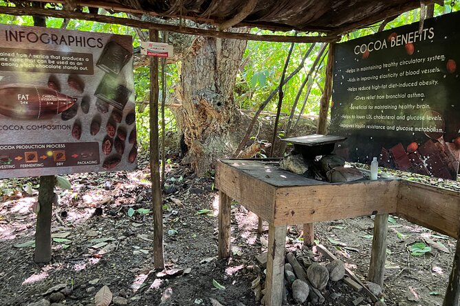 Dominican Culture Tour - Rancho Real Cigars: The Workshop Part Is the Fun Part